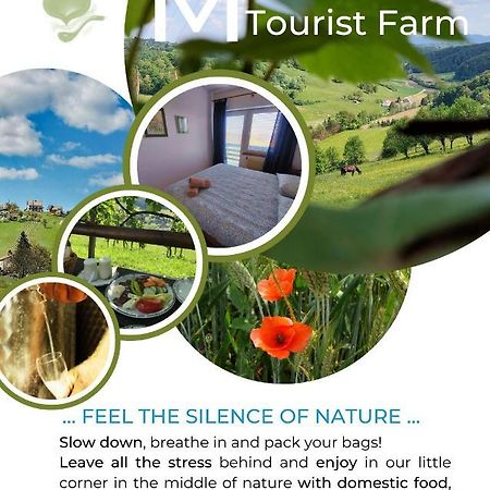 MiljanaMasnec Tourist Farm别墅 外观 照片