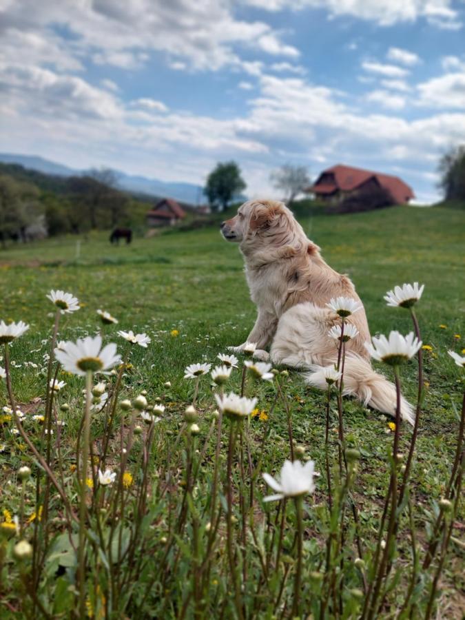 MiljanaMasnec Tourist Farm别墅 外观 照片