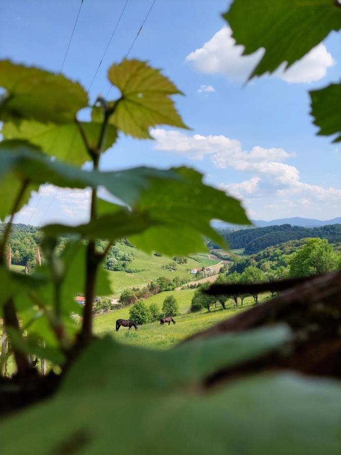 MiljanaMasnec Tourist Farm别墅 外观 照片